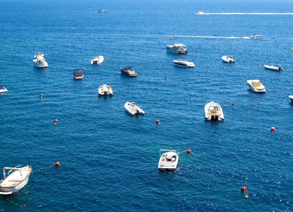 Malaga boat tours with catamaran sailing near the port, featuring the city skyline and Malaga Cathedral in the background