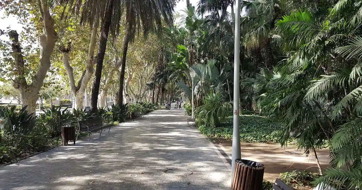 Malaga-park-paseo-espana: Tree-lined walkway in Paseo de España park, a free thing to do amid palms and greenery.
