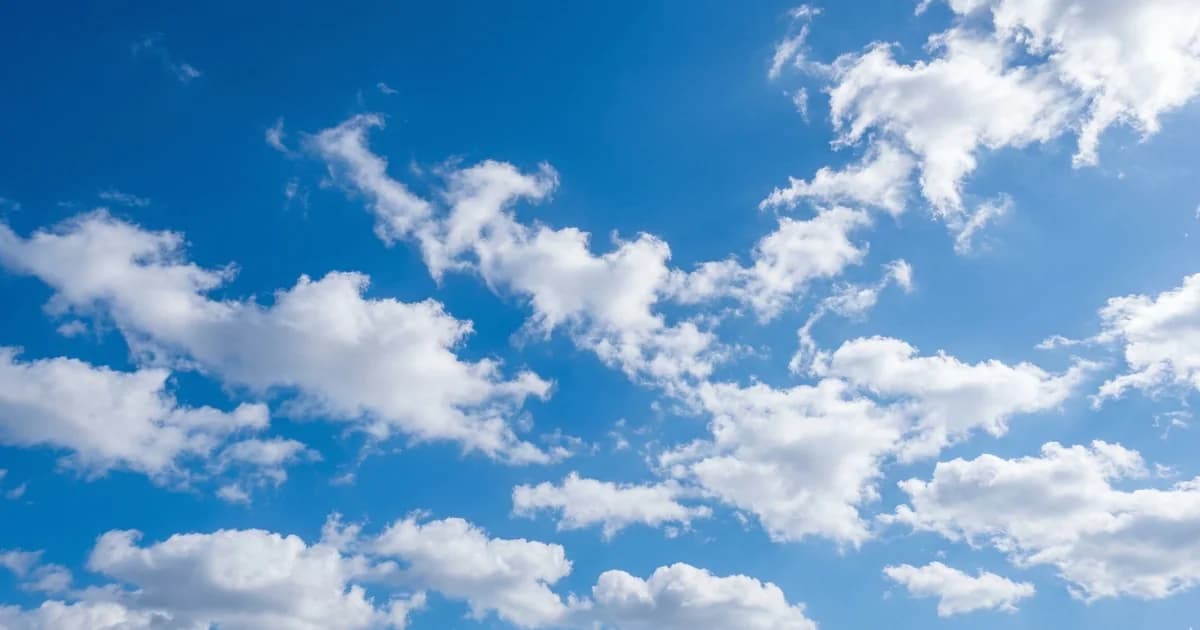Malaga Cathedral square on a bright March morning with spring light and locals at outdoor cafe tables