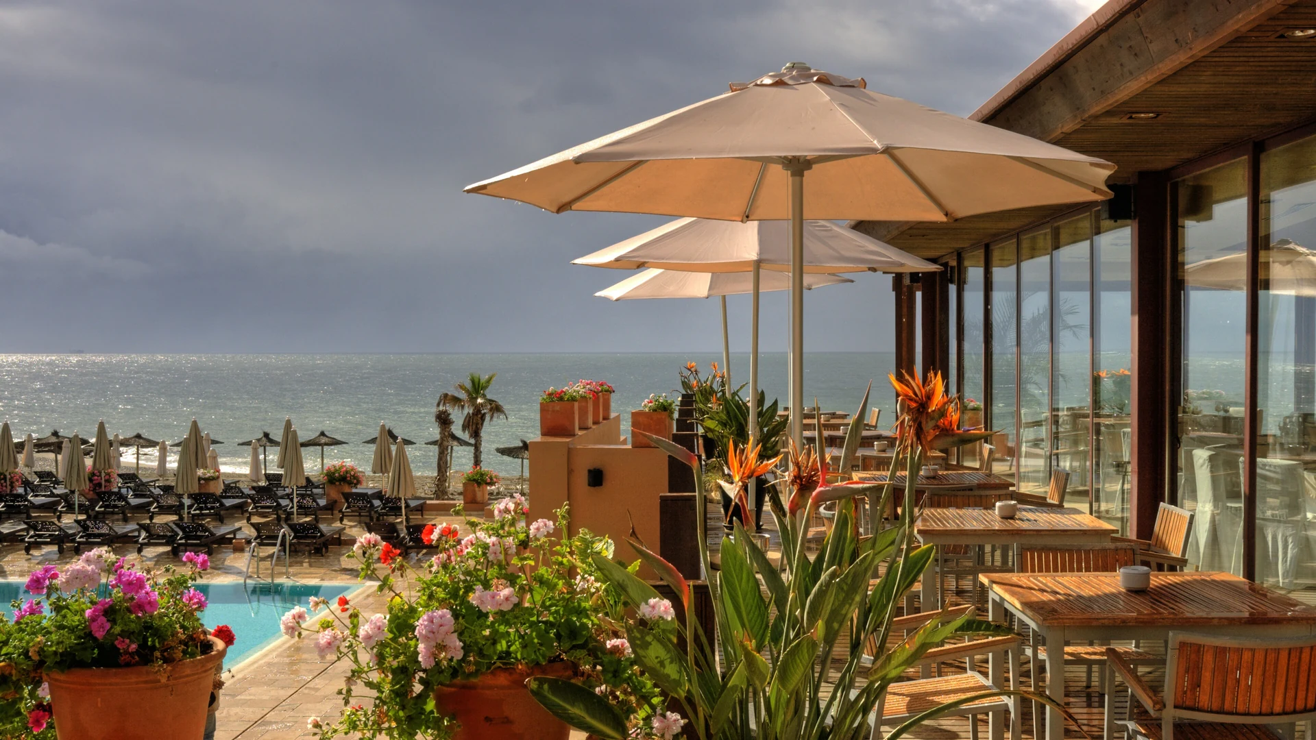 Poolside terrace with parasols and sea views at a Marbella resort hotel