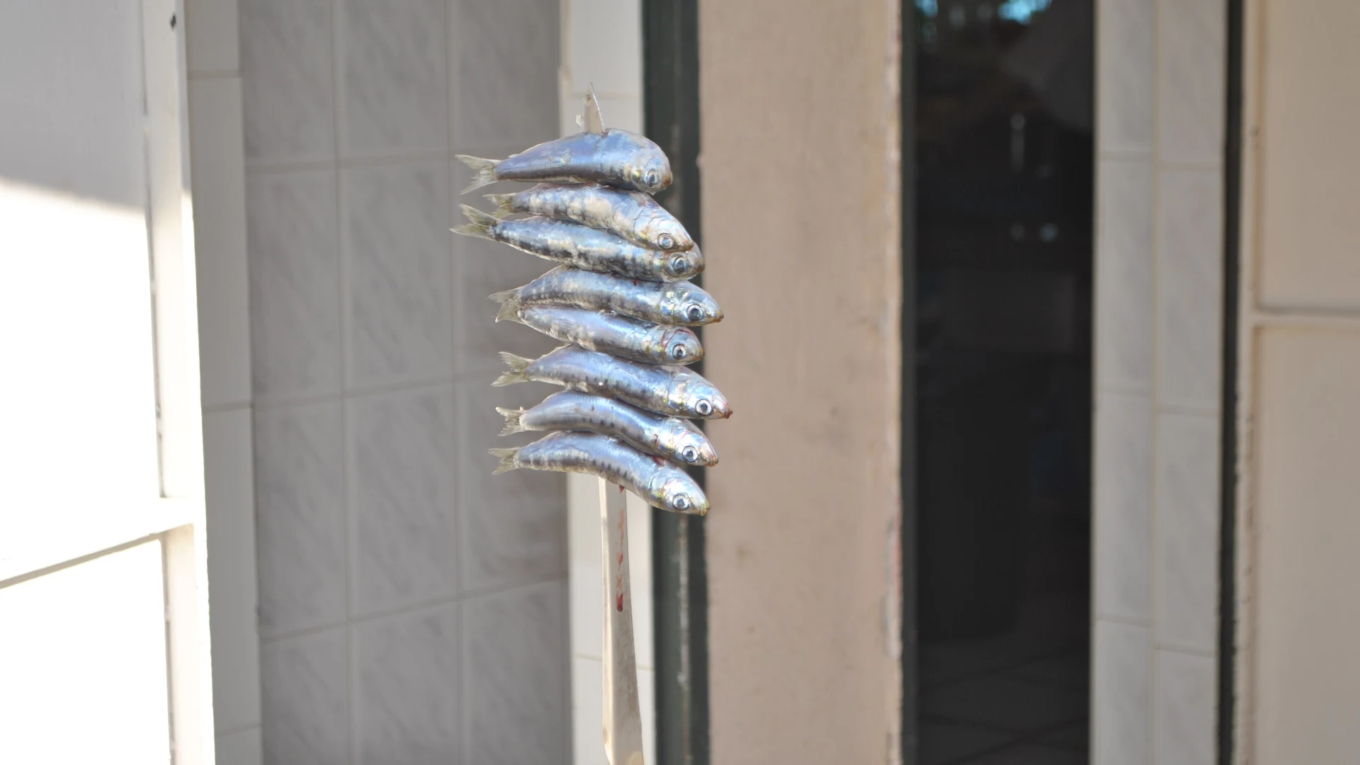 Sardines on an espeto skewer, the grilled-fish speciality of Torremolinos and the Costa del Sol