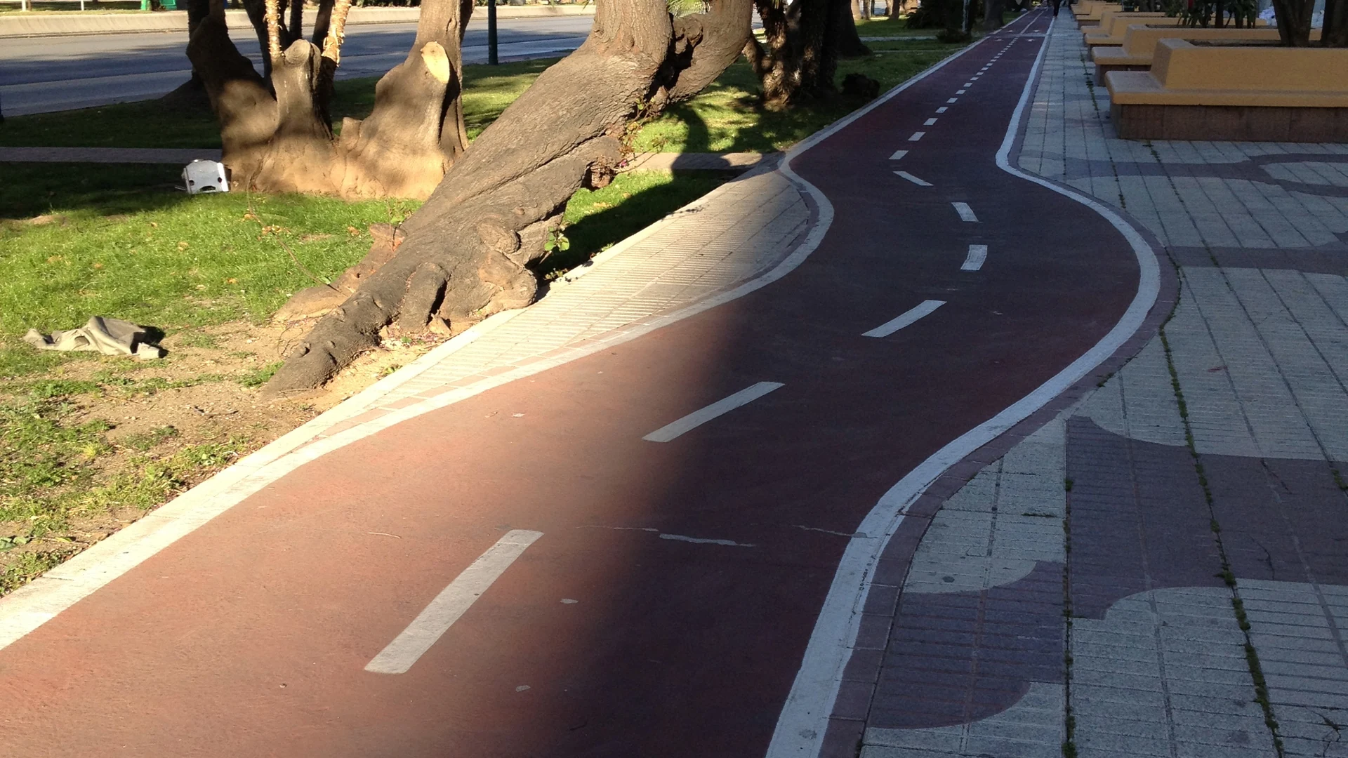 A palm-lined cycle lane along the Malaga seafront