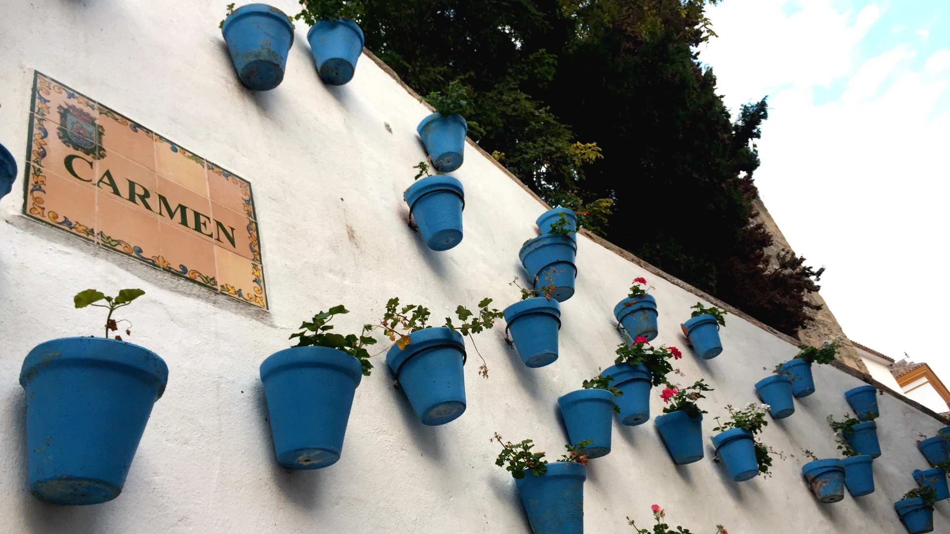 Whitewashed wall lined with blue flower pots in Marbella's old town