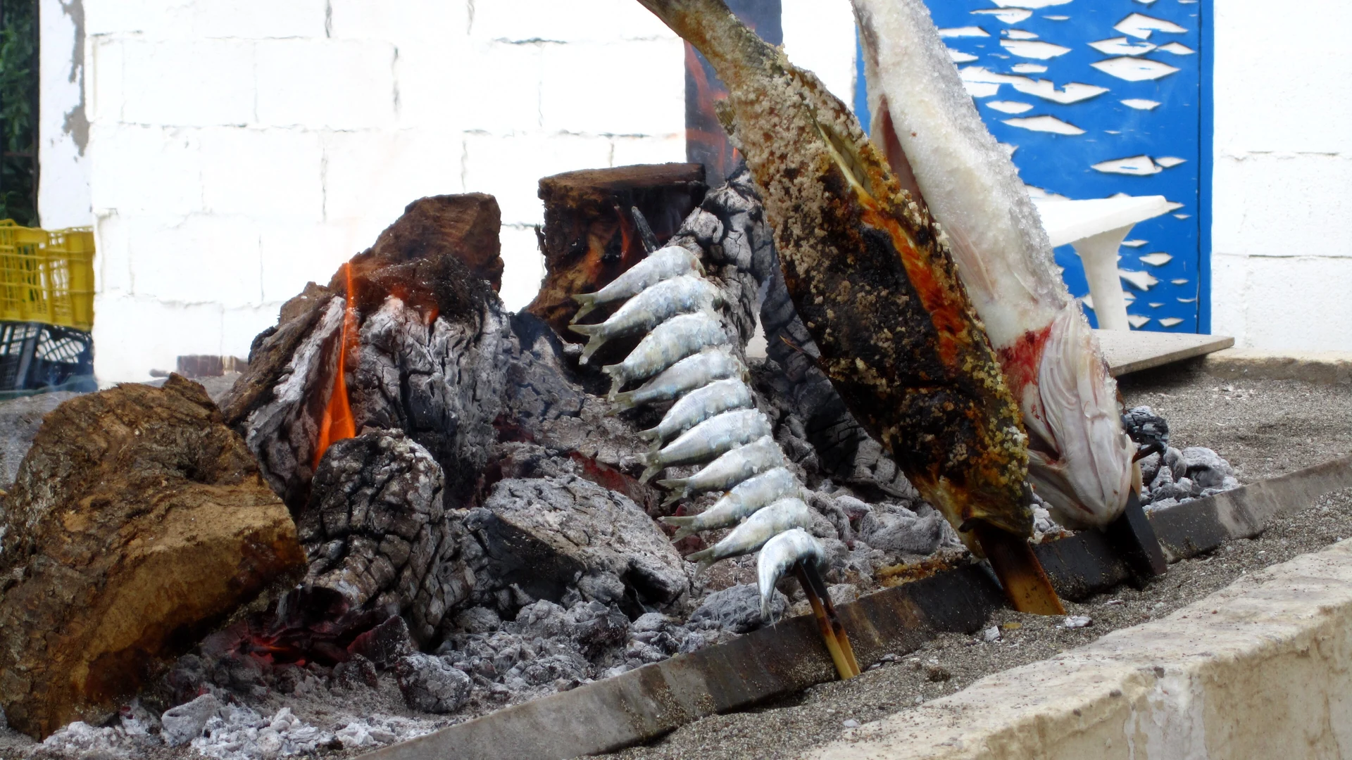 A cane skewer of sardines planted in the sand at an angle beside an open wood fire at a Malaga chiringuito