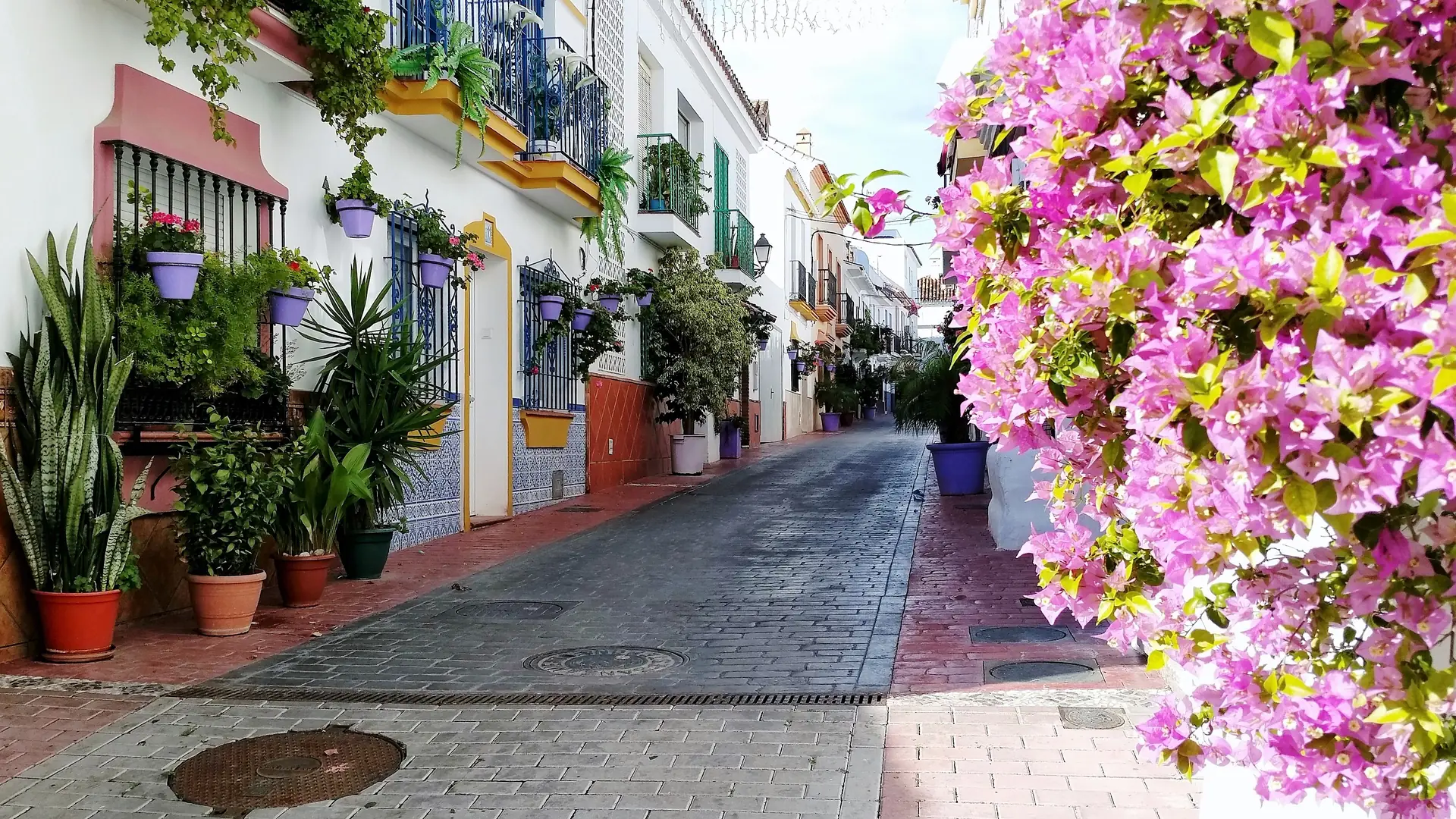 Scenic view of a traditional white-washed street in Estepona old town with vibrant flower pots.