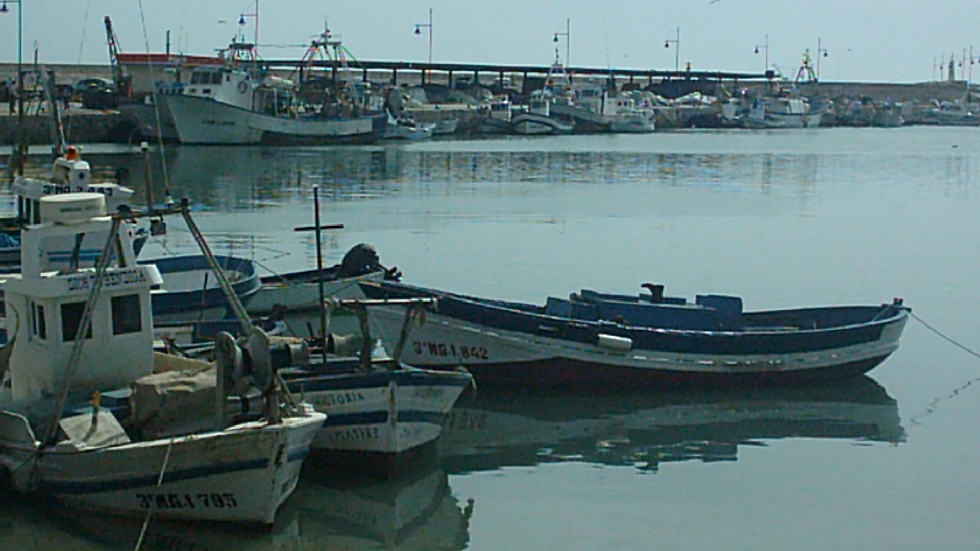 Fishing boats moored in Estepona's working port at dusk