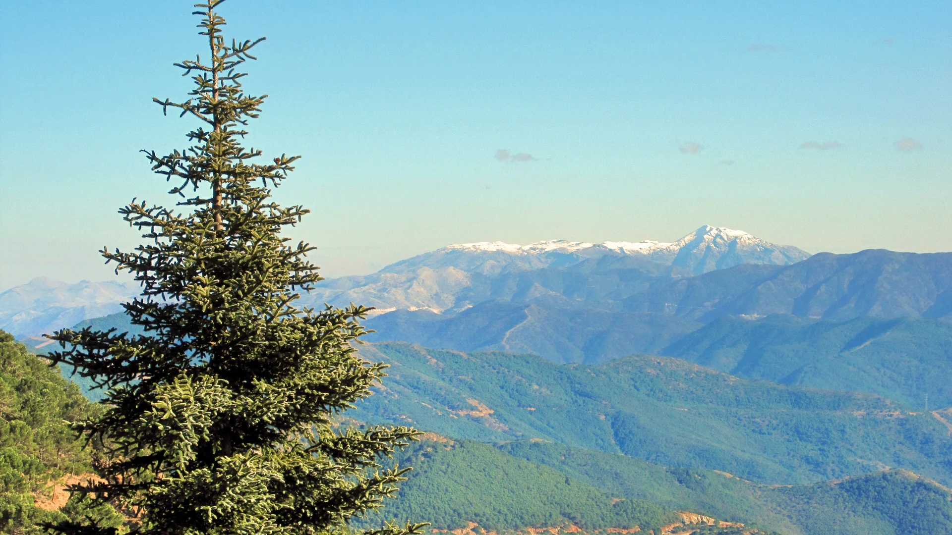 View of the Sierra Bermeja mountains behind Estepona under a clear blue sky, with distant snow-capped peaks