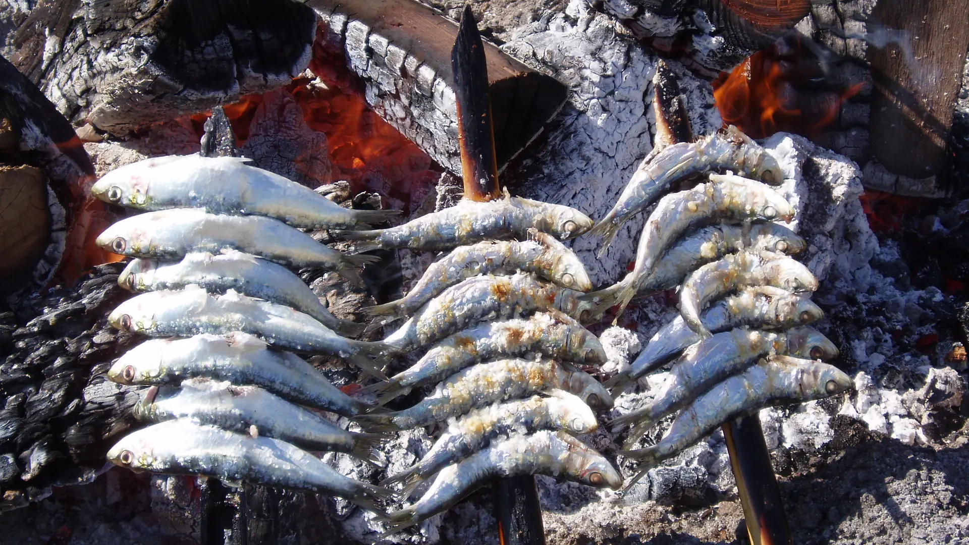 Espetos de sardinas grilling over an open fire on the Malaga coast