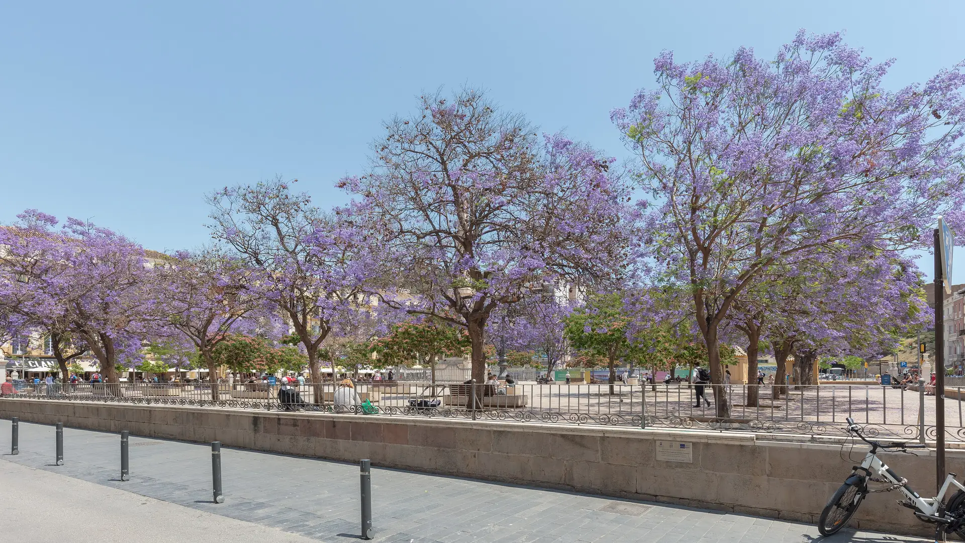 Plaza de la Merced in Malaga's historic centre, a hub of the city's social scene
