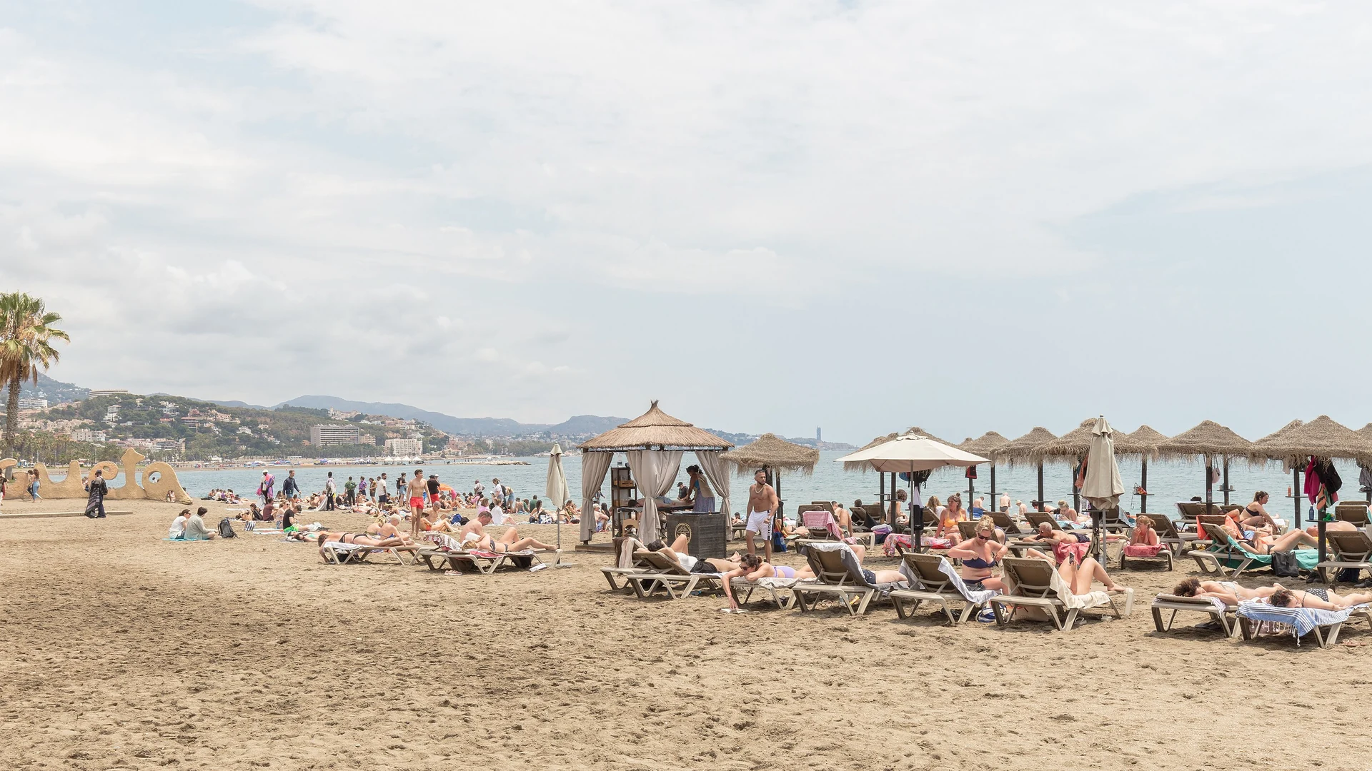 Słoneczna plaża La Malagueta w Maladze z leżakami i parasolami.