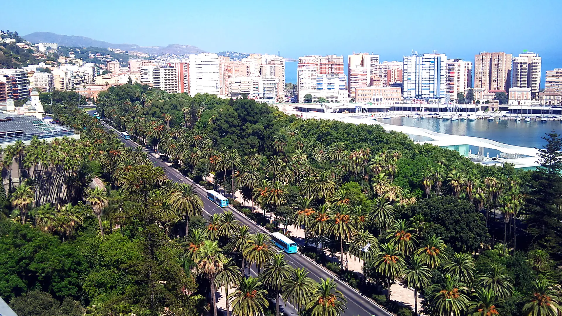 Parque de Málaga z alejami palm i portem w tle.