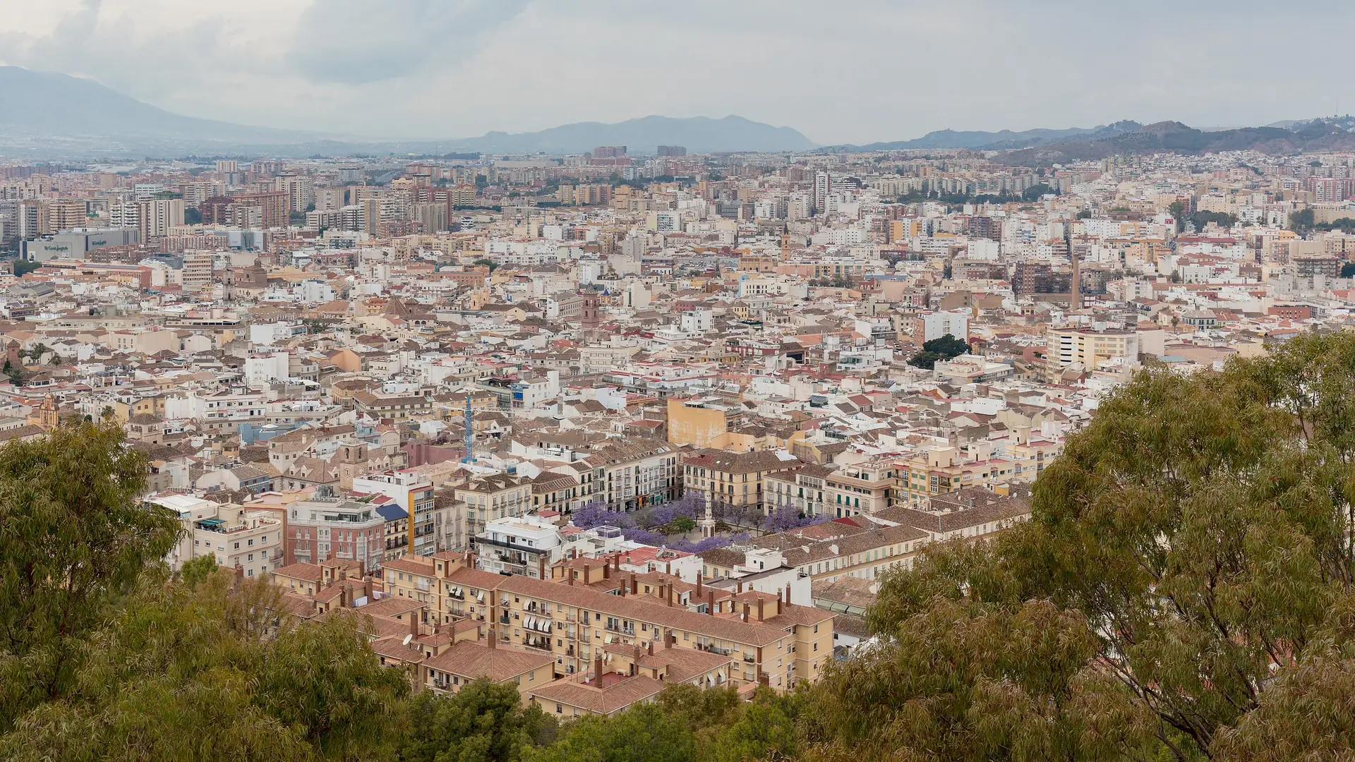 The city of Malaga seen from Gibralfaro, rooftops and jacaranda trees under a bright Mediterranean sky