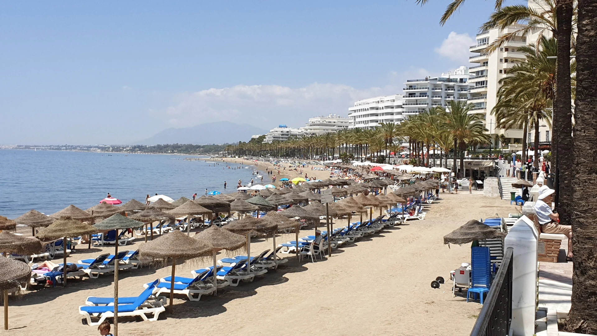 Rows of sunbeds and straw parasols on Playa de la Fontanilla in Marbella on a sunny day