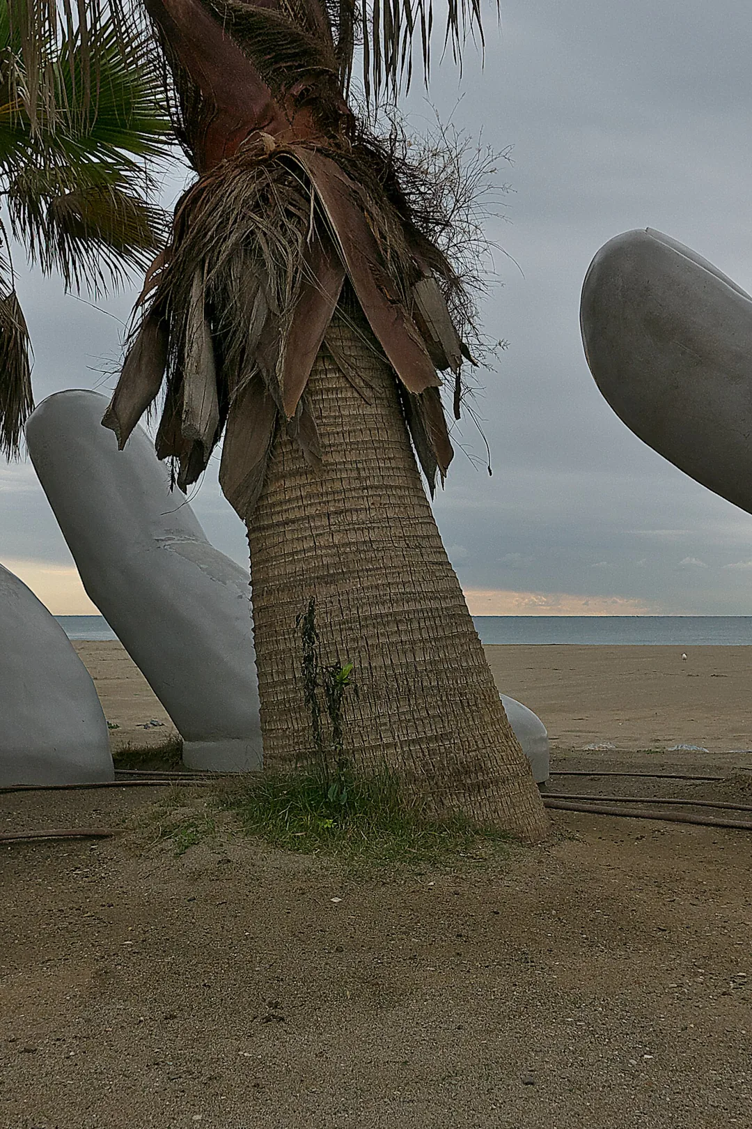 The 'Mano abierta' open-hand sculptures among palm trees on Fuengirola beach