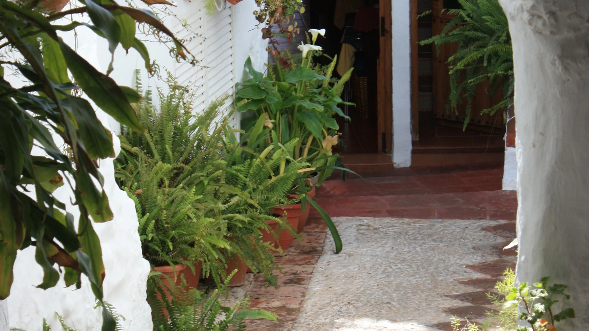 A narrow whitewashed lane in Frigiliana old town, lined with potted ferns and lilies leading to a wooden doorway