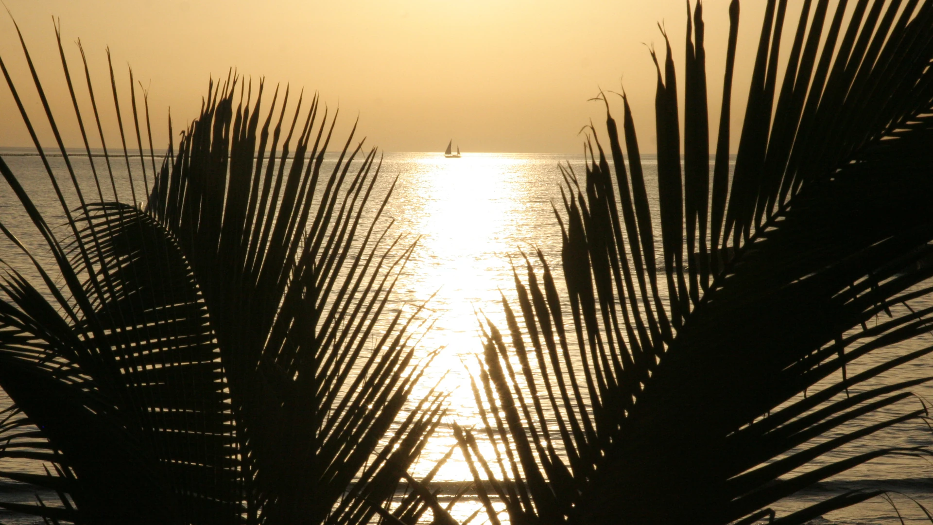 A sailing boat silhouetted against a vivid orange and pink sunset sky over the sea on the Costa del Sol