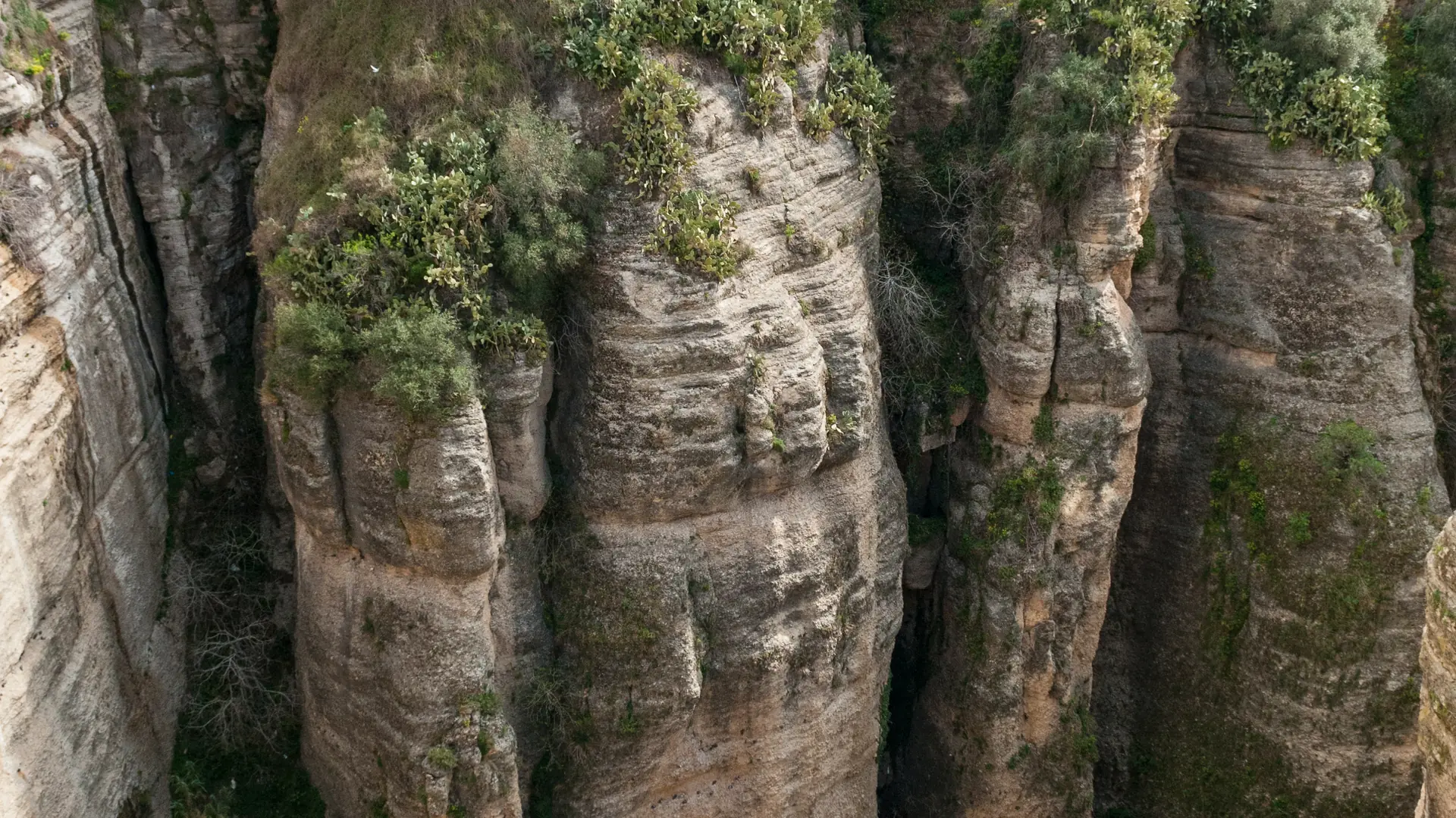 The dramatic El Tajo gorge in Ronda with the Guadalevín River flowing below towering limestone cliffs
