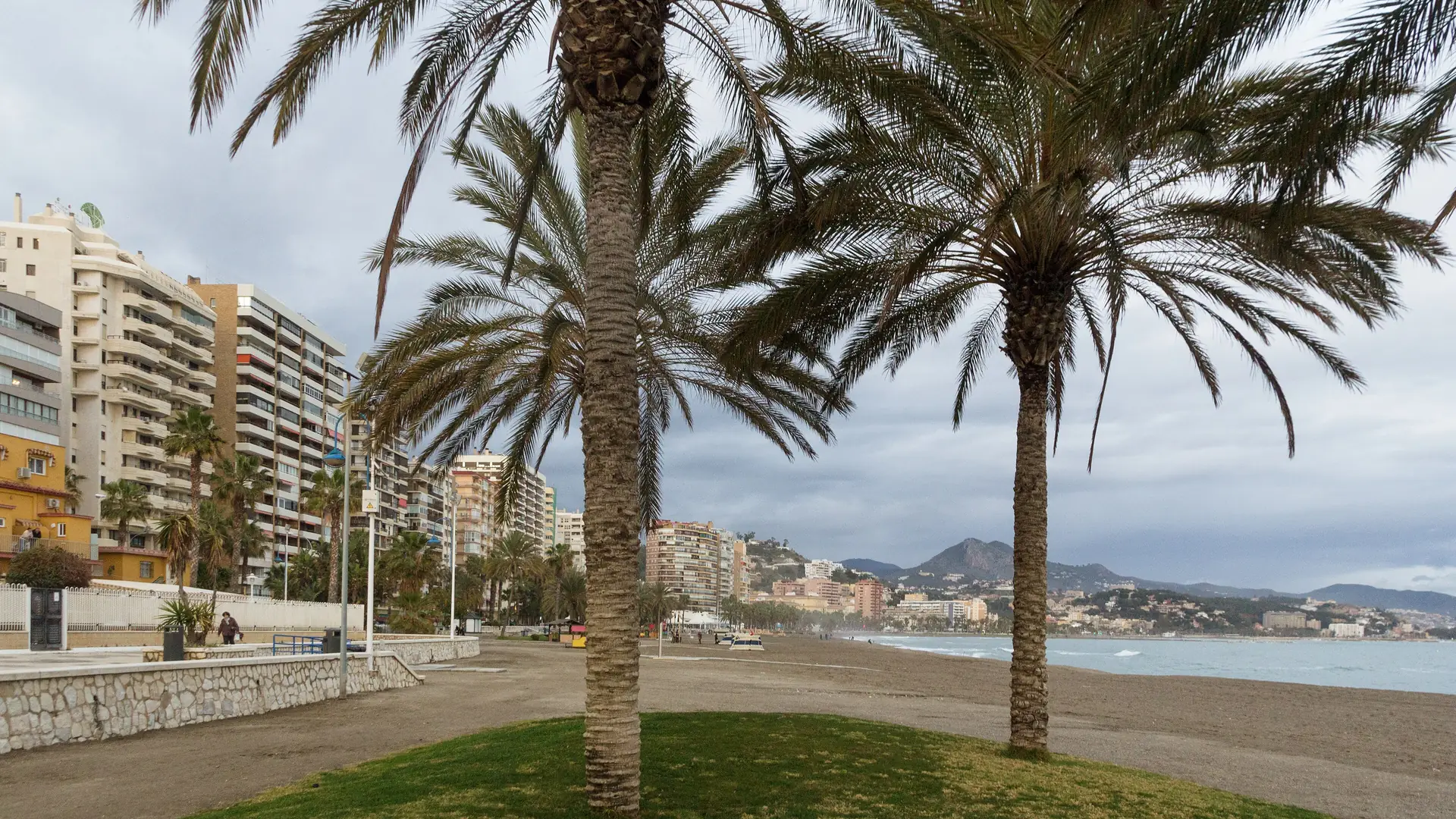 Palm trees on the Playa de la Malagueta with the Malaga seafront behind