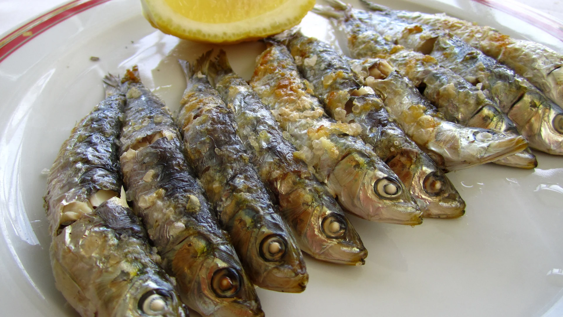 Espetos de sardinas grilling on bamboo skewers over a wood fire on a Malaga beach