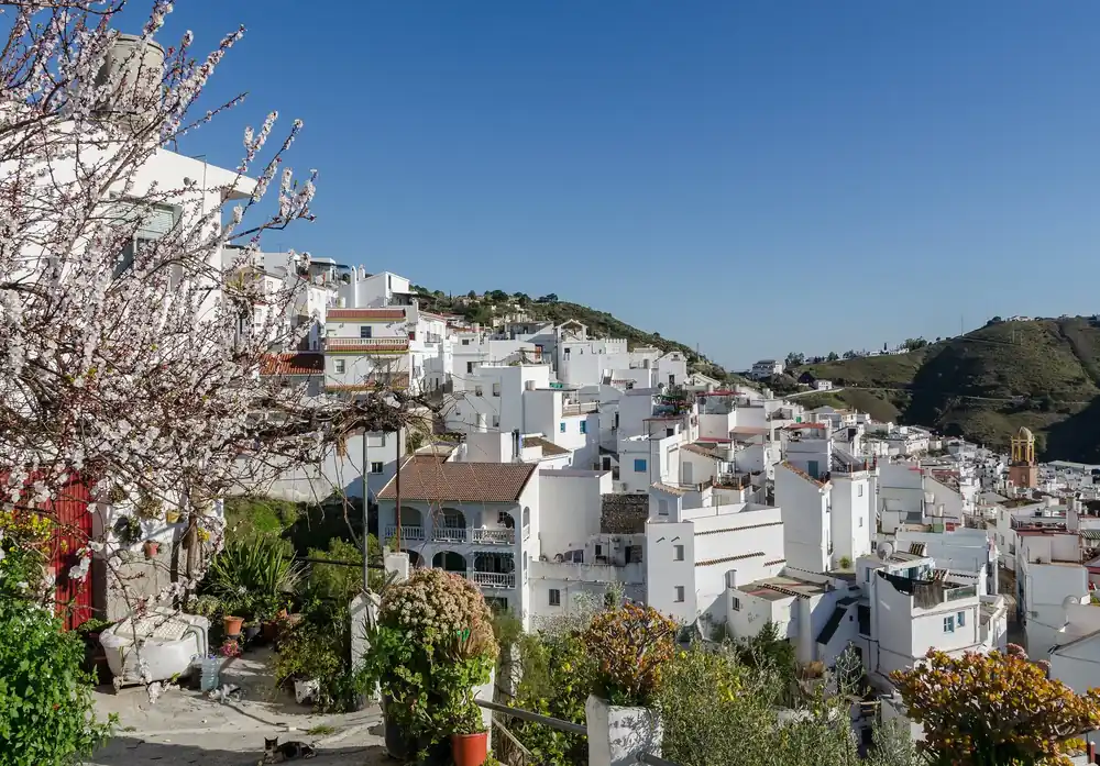 The whitewashed houses of Cómpeta in the Axarquía hills with almond blossom